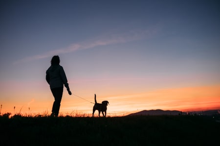 Dorsoo blog tips om rugpijn te verminderen stress vermijden