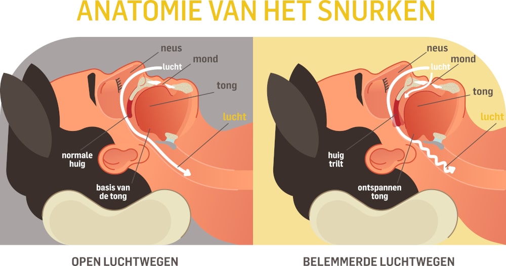 Dorsoo blog anatomie snurken