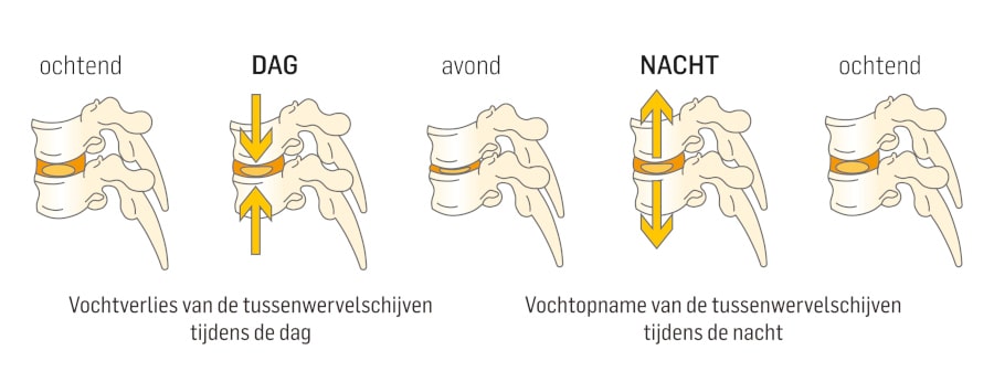 Dorsoo blog tussenwervelschijf dag nacht