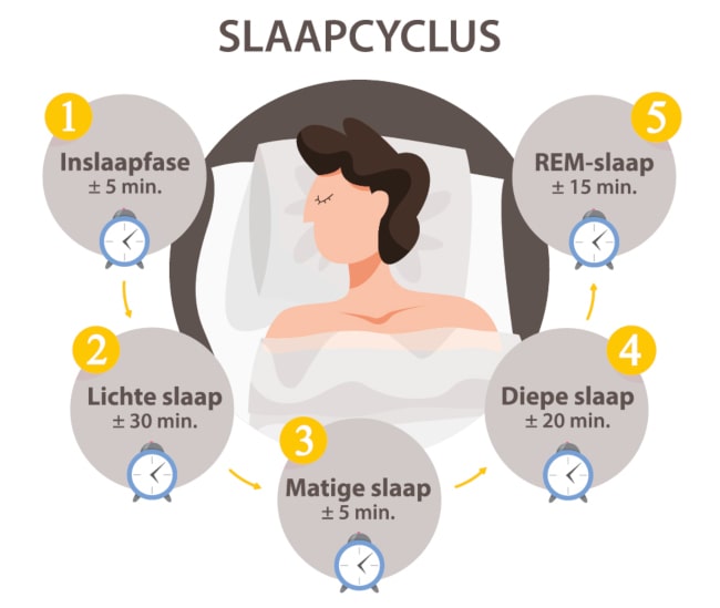 normaal slaappatroon fasen slaapcyclus