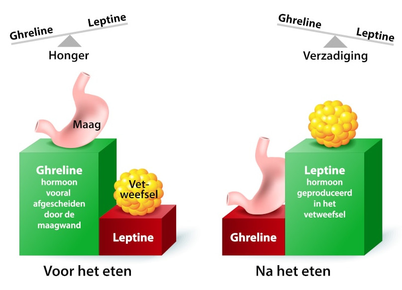 Dikker worden van slapen - Dorsoo Blog